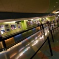 WDW2010SWW-001