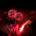 WDW2010SWW-333