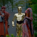 WDW2010SWW-347