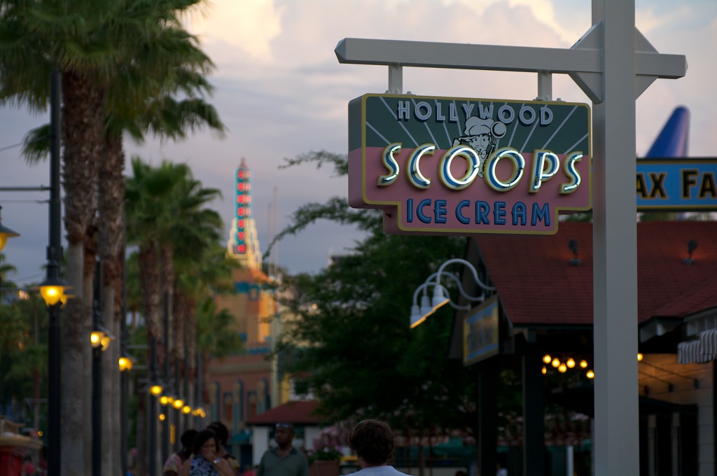 WDW2010SWW-222.jpg