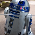 WDW2010SWW-113