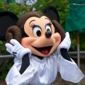 WDW2010SWW-041