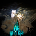WDW2010SWW-318
