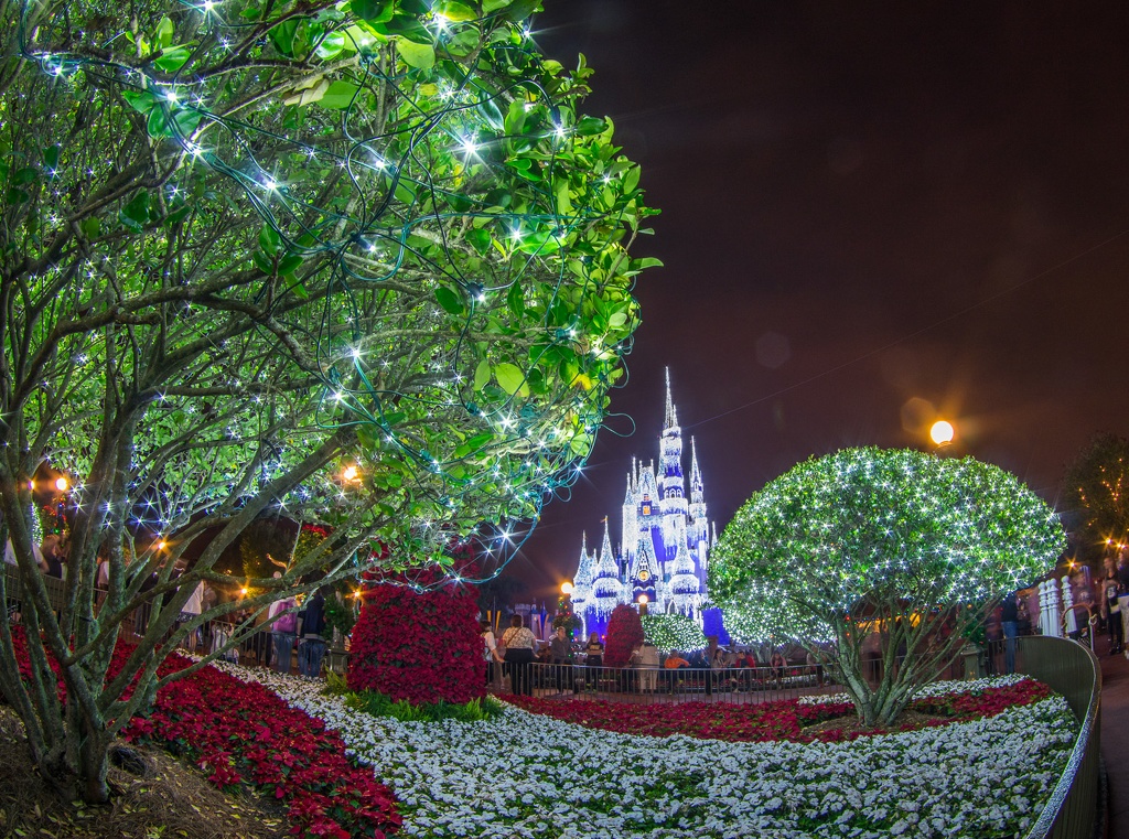 WDW2014-168.jpg