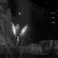 WDW2014-323