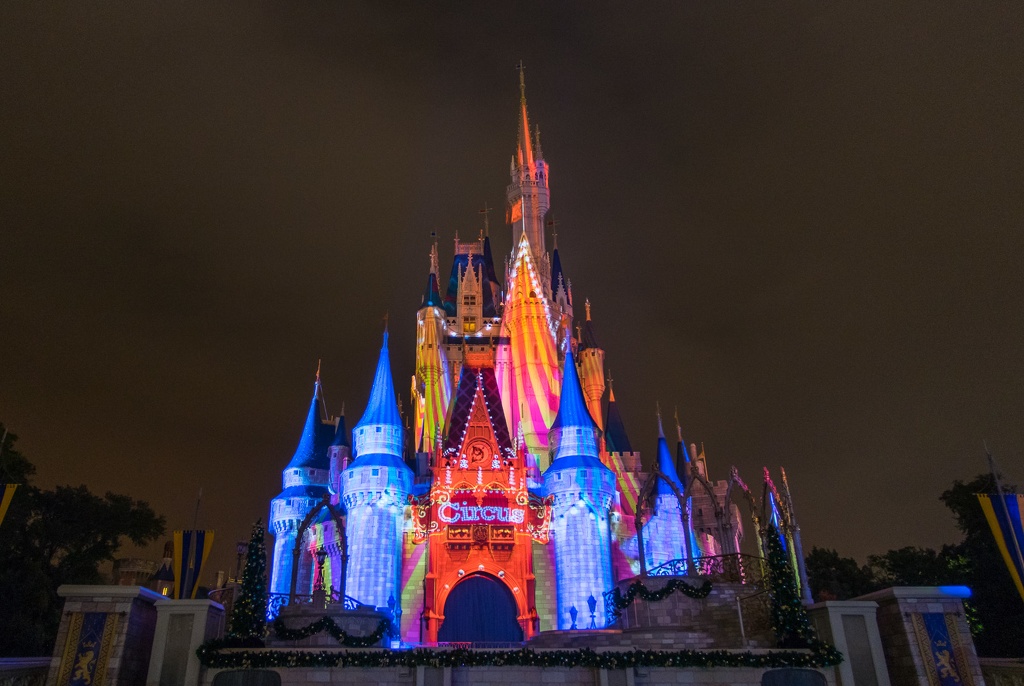 WDW2014-169.jpg