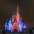 WDW2014-169