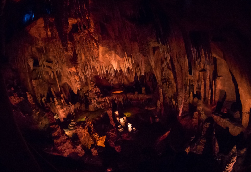 WDW2014-058.jpg