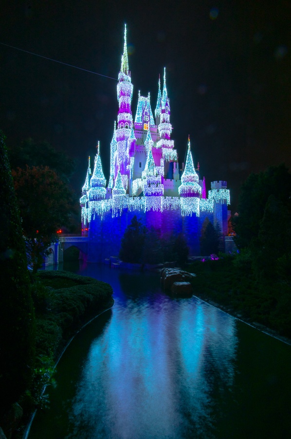 WDW2014-199.jpg