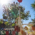 WDW2014-487