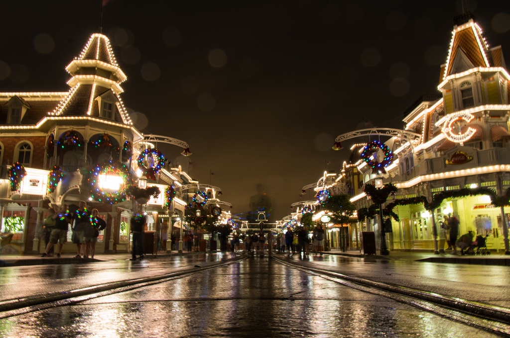 WDW2014-216.jpg