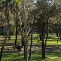WDW2014-552