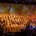 WDW2014-468
