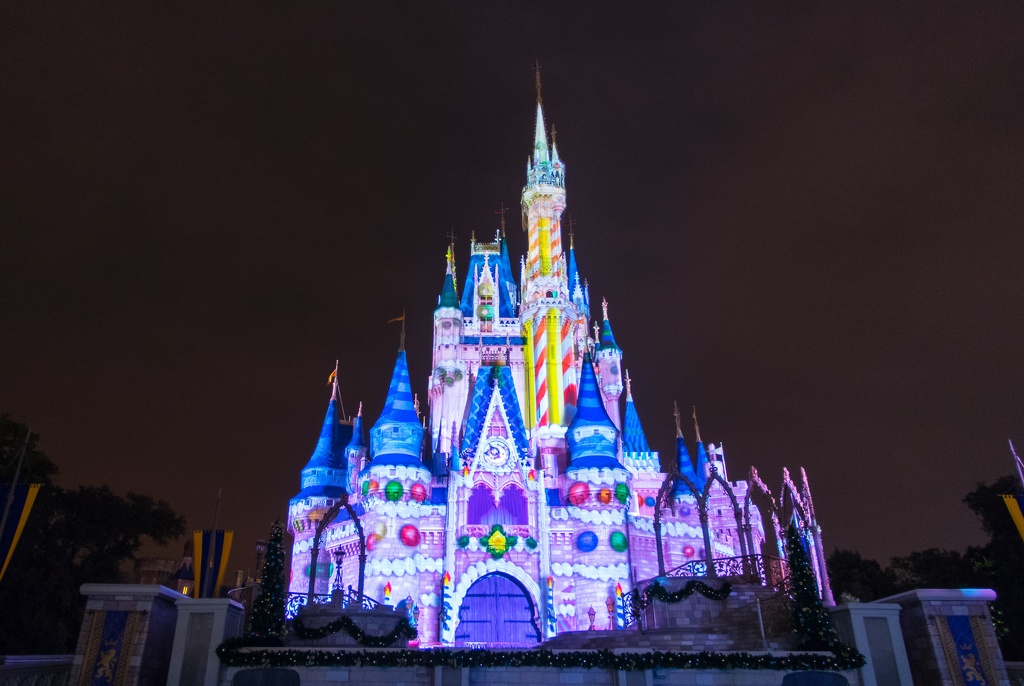 WDW2014-177.jpg