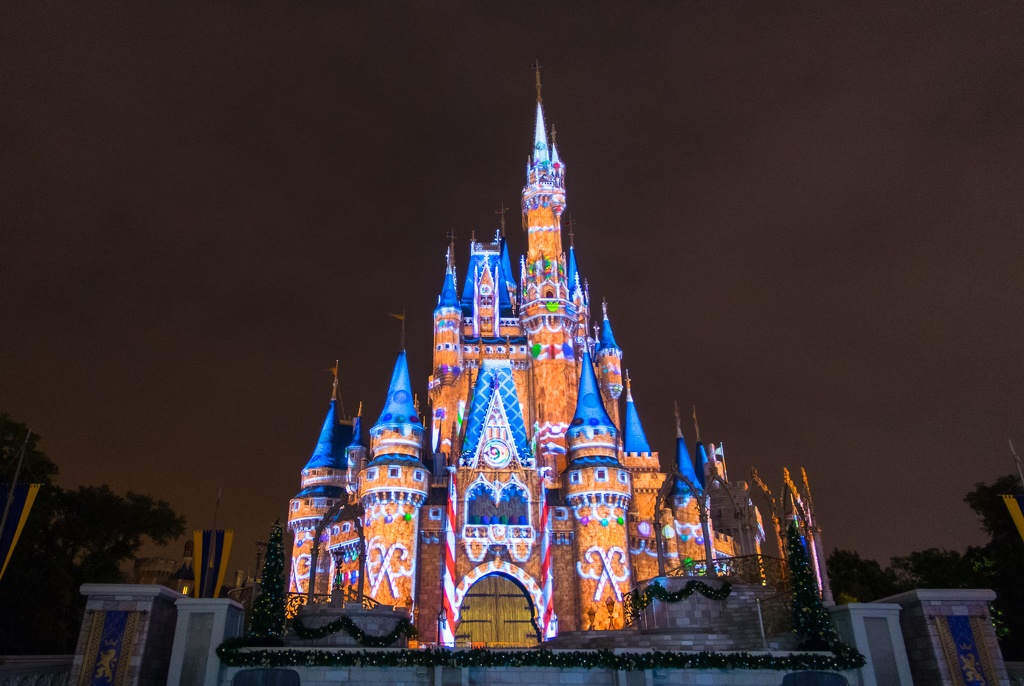 WDW2014-178.jpg