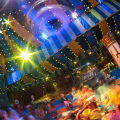 WDW2014-350