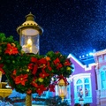 WDW2014-008