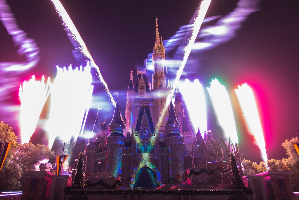 WDW2014-174.jpg