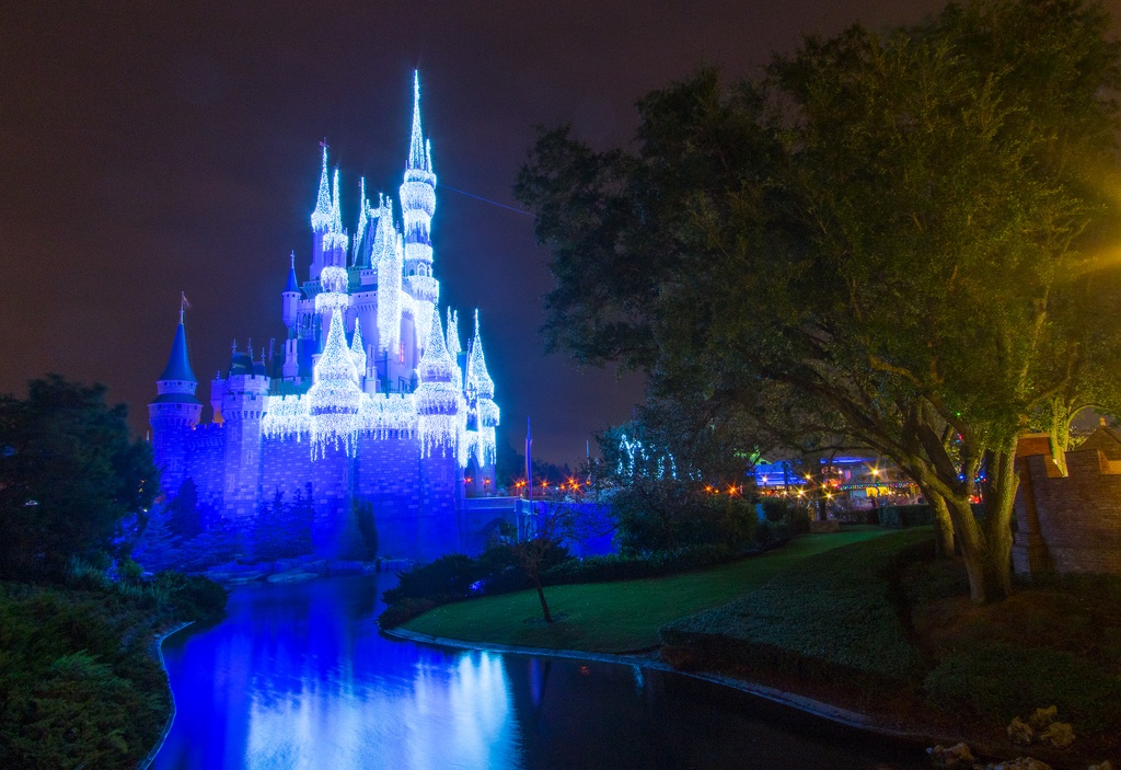 WDW2014-180.jpg