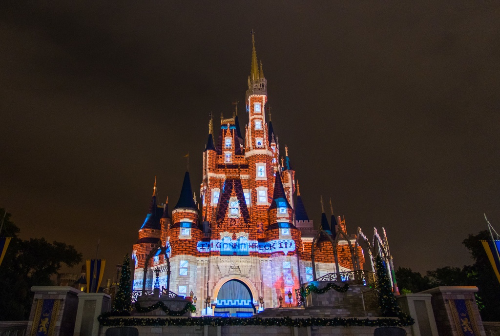 WDW2014-170.jpg