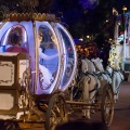 WDW2014-028