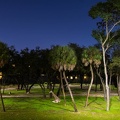WDW2014-472