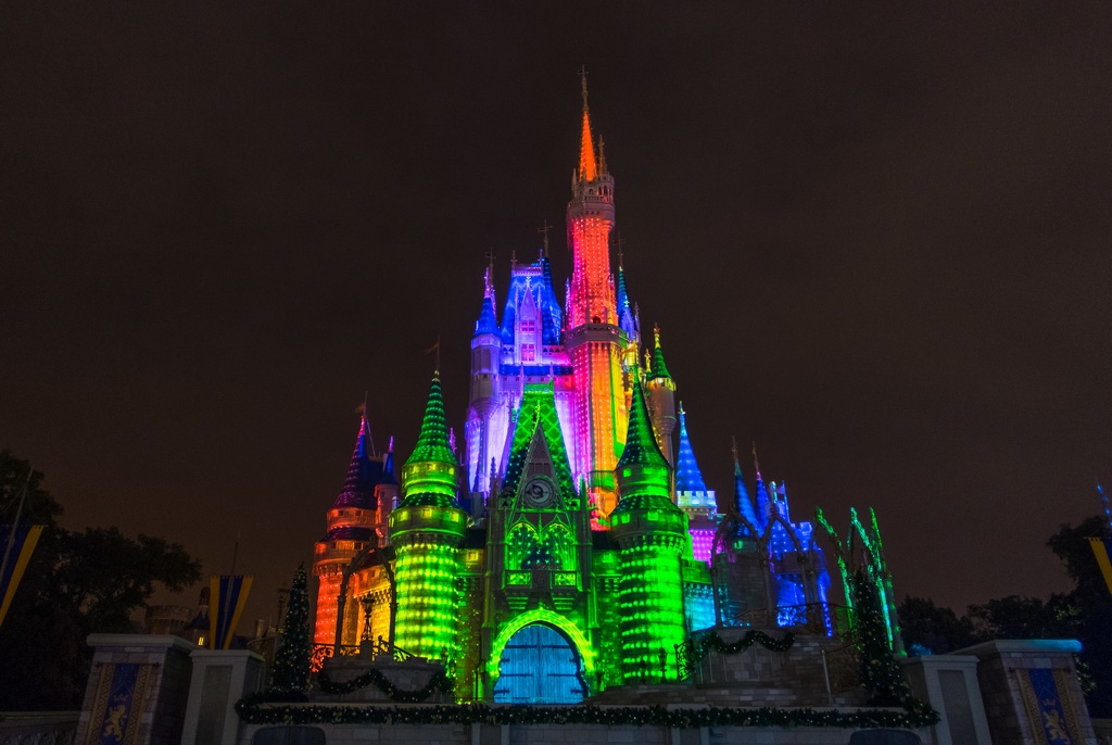 WDW2014-175.jpg
