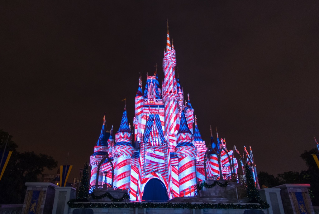 WDW2014-176.jpg
