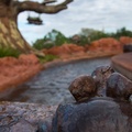 WDW2014-074