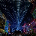 WDW2014-497