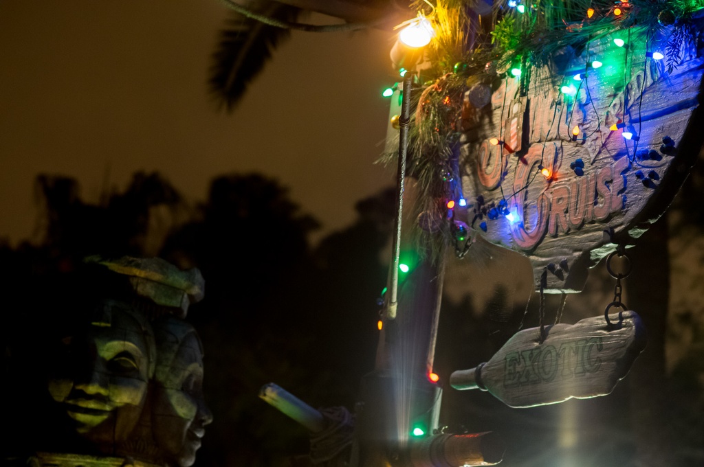 WDW2014-210.jpg