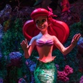 WDW2014-563