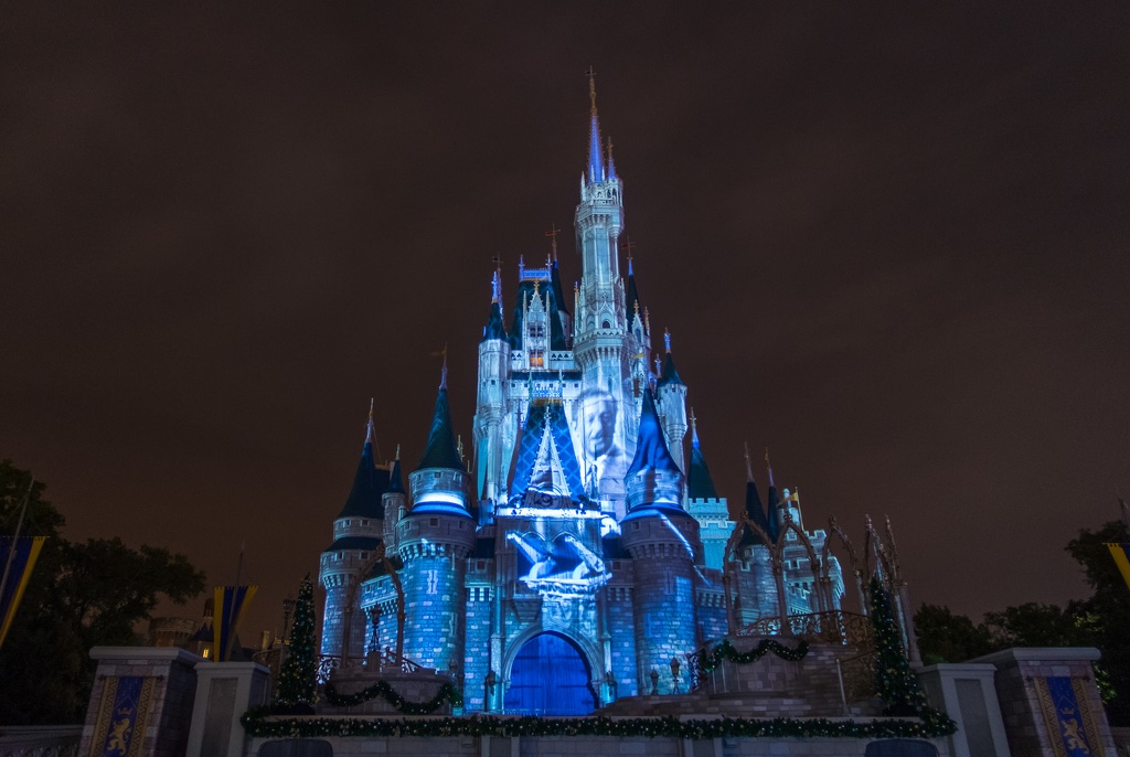 WDW2014-172.jpg
