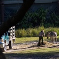 WDW2014-374