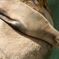 SenecaParkZoo201309-02