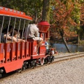 ALSafari2007-03