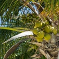 Cancun201404-024