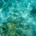 Cancun201404-159