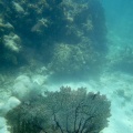 Cancun201404-162