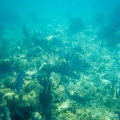 Cancun201404-161