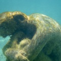 Cancun201404-163