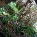 WDW201206-157