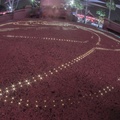 WDW201206-150