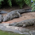 WDW201206-130