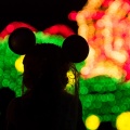 WDW201206-116