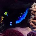 WDW201206-140