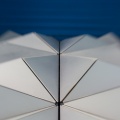 WDW201206-281
