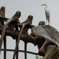 WDW201206-127