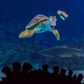 WDW201206-144