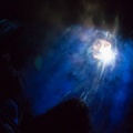 WDW201206-163